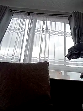 Snapshot of bri_ali chatting on March 8, 6:05 pm bri ali online show from March 8, 6:05 pm