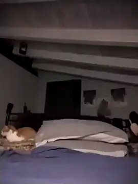 Snapshot of divinaerotica chatting on November 17, 5:28 pm divinaerotica online show from November 17, 5:28 pm