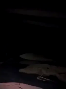 divinaerotica online show from December 20, 8:01 pm