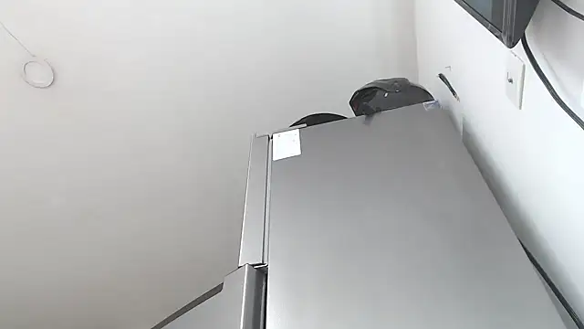 Antoneella vz online show from November 5, 11:19 pm