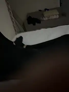 senle12ben2 online show from February 3, 7:42 pm