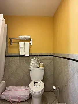 kcmo1010 online show from January 17, 2:31 pm