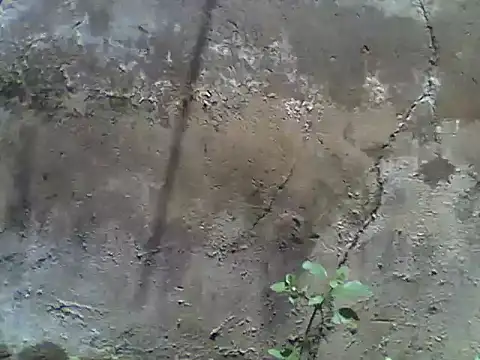 nee2526 online show from March 5, 10:01 am