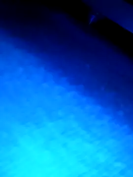 wadmma online show from March 13, 3:22 am