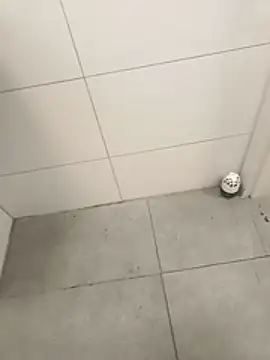 wadmma online show from April 3, 4:19 am