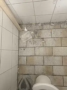 wadmma online show from November 19, 8:47 am