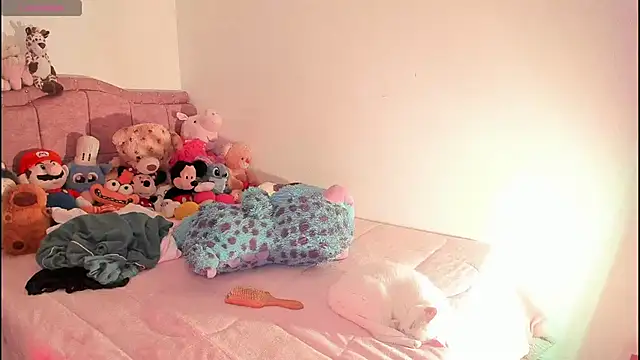 ImamDahian online show from November 13, 10:13 pm