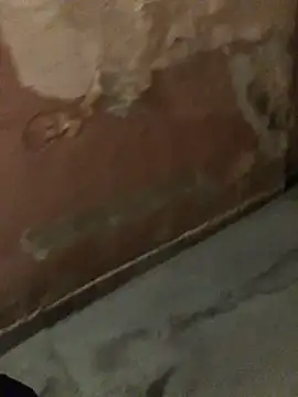 RussNocturnal online show from February 27, 9:25 pm