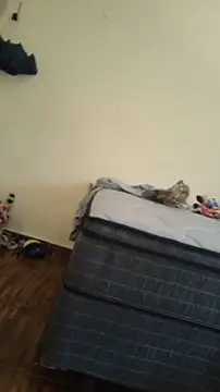 JapeDoBryan online show from May 16, 6:29 pm