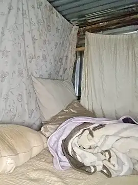 Velvet69 online show from November 25, 11:16 pm