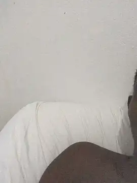 Snapshot of johnlovex chatting on February 18, 8:49 pm johnlovex online show from February 18, 8:49 pm