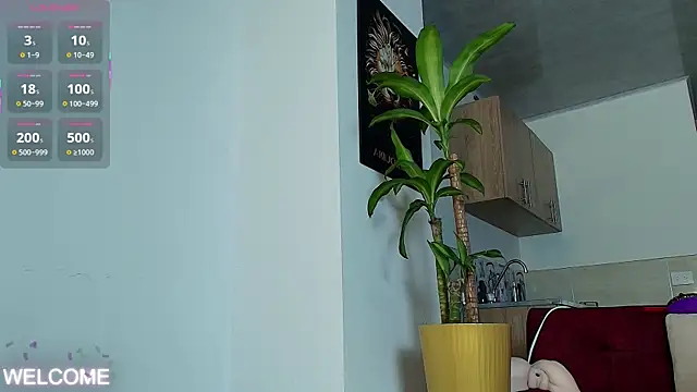 Dwayne Brown online show from April 3, 7:31 pm