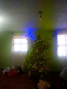 KellyPerlaxxx online show from December 19, 2:30 pm