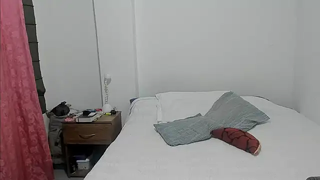 Snapshot of __leaa chatting on February 13, 12:57 am leaa online show from February 13, 12:57 am