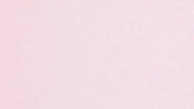 JhoanLeandro online show from April 11, 4:20 am