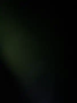 vicky bass online show from November 21, 11:59 pm