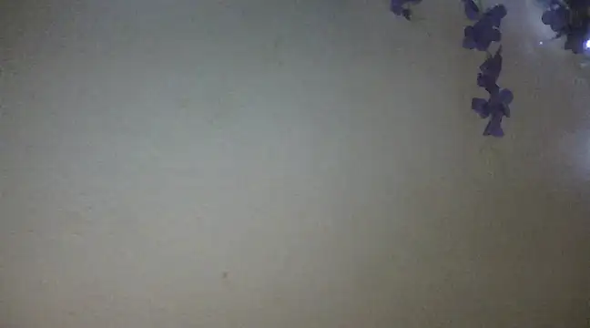 Snapshot of xxsexycutexxx chatting on February 18, 6:04 pm xxsexycutexxx online show from February 18, 6:04 pm
