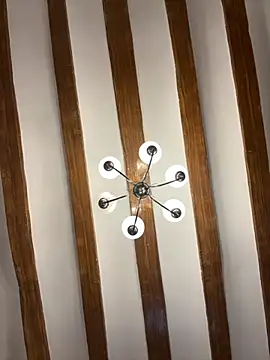 laarti online show from November 19, 10:59 am