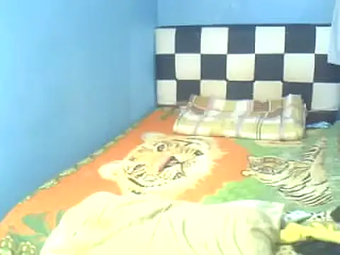 Snapshot of DivinaTransStrella chatting on February 6, 8:13 pm DivinaTransStrella online show from February 6, 8:13 pm