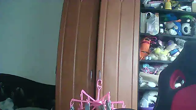 Cicamica12 online show from November 26, 8:36 am