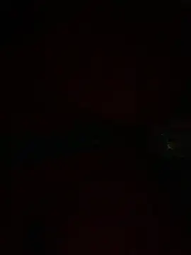 PINO pino 01 online show from November 12, 6:45 pm