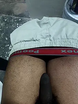 Snapshot of omni_333 chatting on February 11, 12:38 pm omni 333 online show from February 11, 12:38 pm