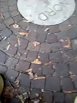 Snapshot of dominationmybigdick chatting on September 19, 5:06 pm dominationmybigdick online show from September 19, 5:06 pm