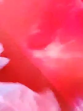 dominationmybigdick online show from December 3, 9:53 am