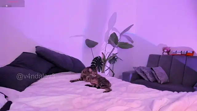 ggor4w33 online show from January 9, 6:53 am