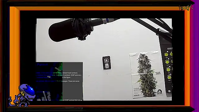 Snapshot of ReyDeBotones chatting on March 13, 11:38 pm ReyDeBotones online show from March 13, 11:38 pm