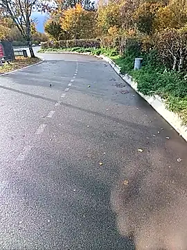 Dam70 online show from October 22, 2:16 pm