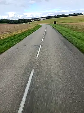 Dam70 online show from October 9, 11:00 am