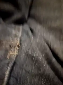 Dam70 online show from November 2, 7:30 pm