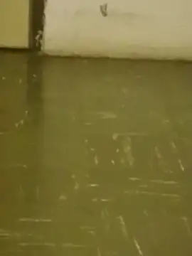 DahGiver online show from February 18, 10:47 pm