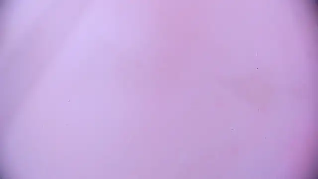 Ashlyaurora online show from March 11, 7:35 am