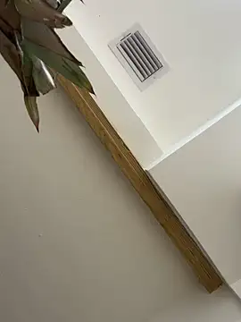 Bicho13132 online show from October 5, 6:26 am