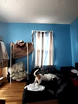 Snapshot of GsSpot69 chatting on October 24, 6:29 pm GsSpot69 online show from October 24, 6:29 pm