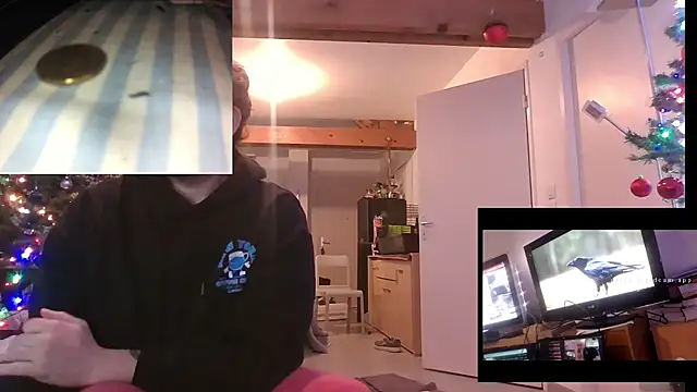 Mastersanges online show from December 15, 6:36 pm