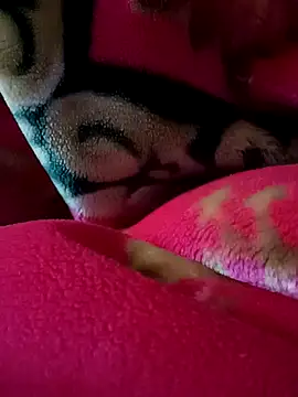 Arabian online show from February 27, 9:14 pm