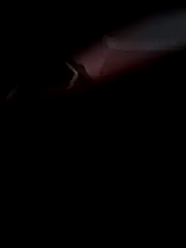 Arabian online show from November 8, 10:08 am