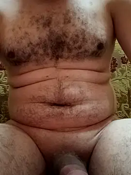 Arabian online show from September 20, 11:48 am