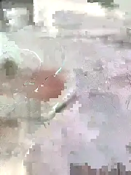 Arabian online show from November 7, 3:05 pm