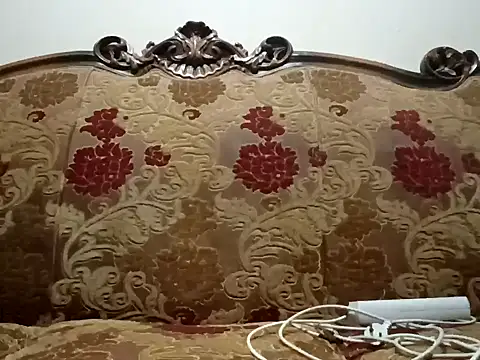 Arabian online show from February 14, 2:23 pm