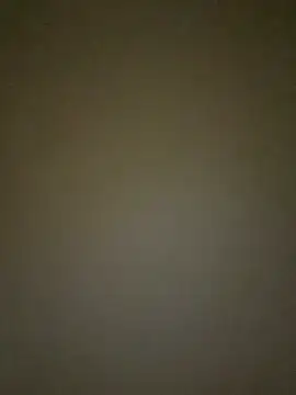 Arabian online show from February 28, 9:58 am