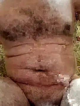 Arabian online show from November 10, 2:44 pm