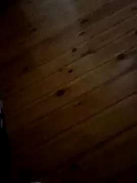 Arabian online show from February 14, 12:41 am