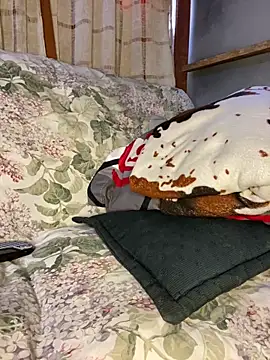 blondiebbc online show from April 1, 1:34 pm