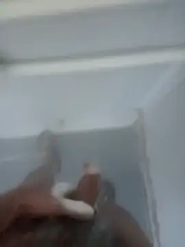 bigcockturk3 online show from February 12, 7:13 pm