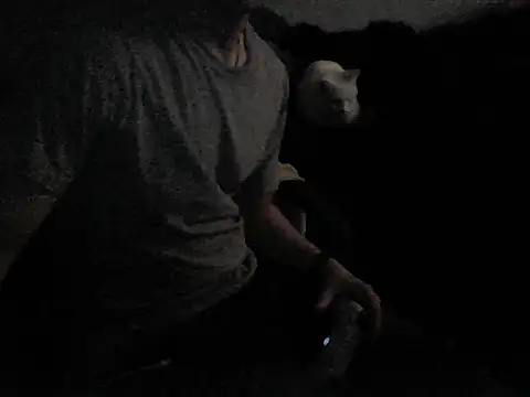 Snapshot of MarioKnero chatting on February 26, 9:53 am MarioKnero online show from February 26, 9:53 am