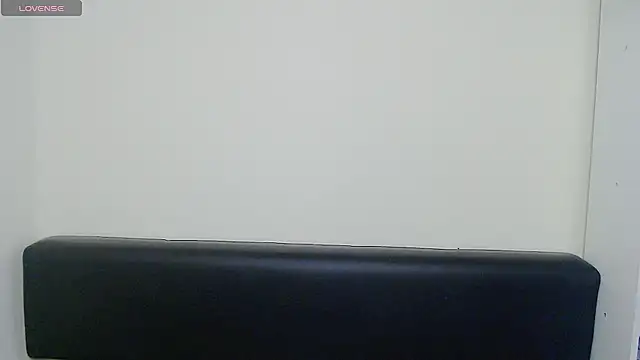 Snapshot of _AngeliaFlow_ chatting on February 24, 7:33 am AngeliaFlow online show from February 24, 7:33 am